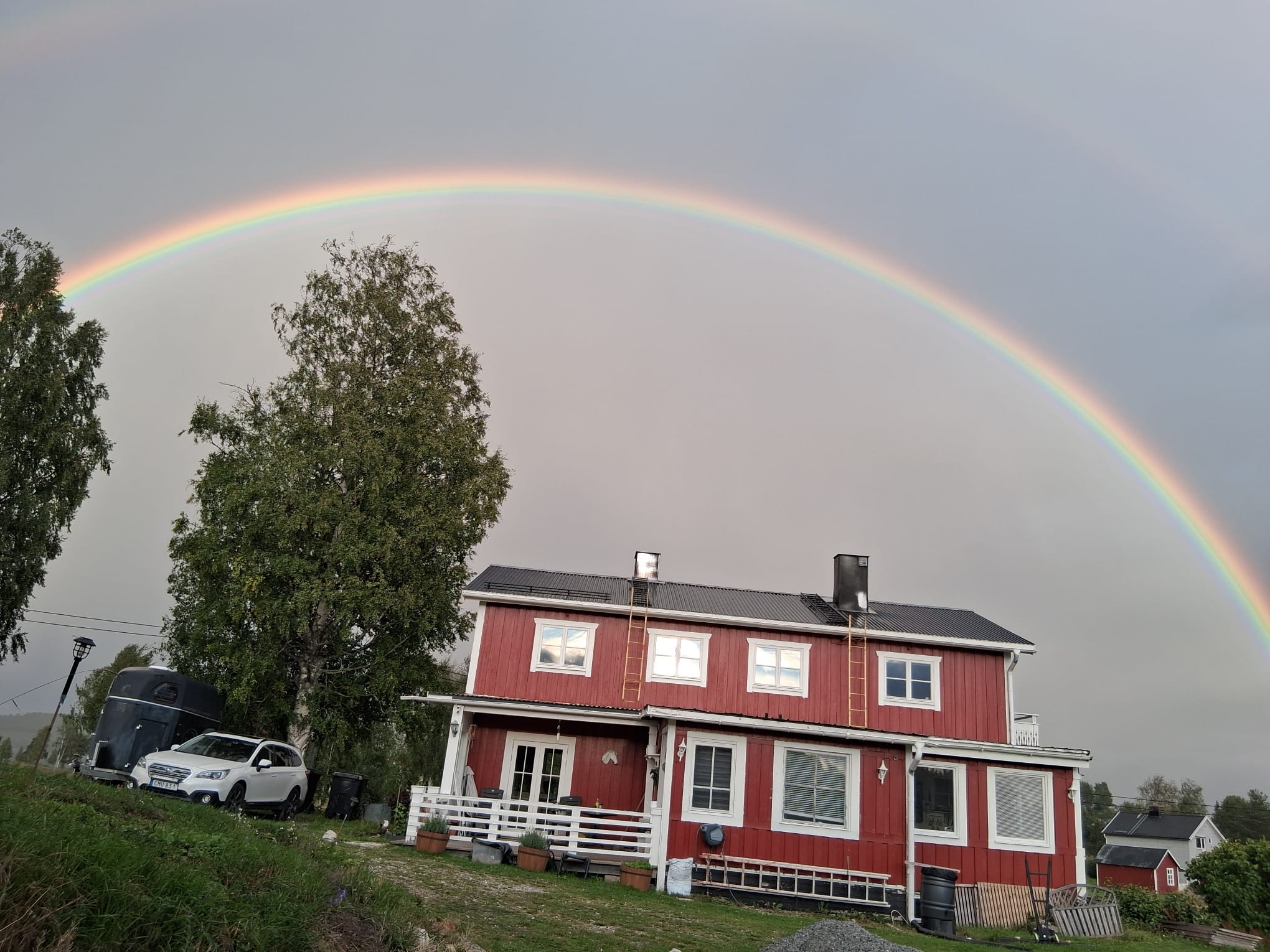 Regenboog