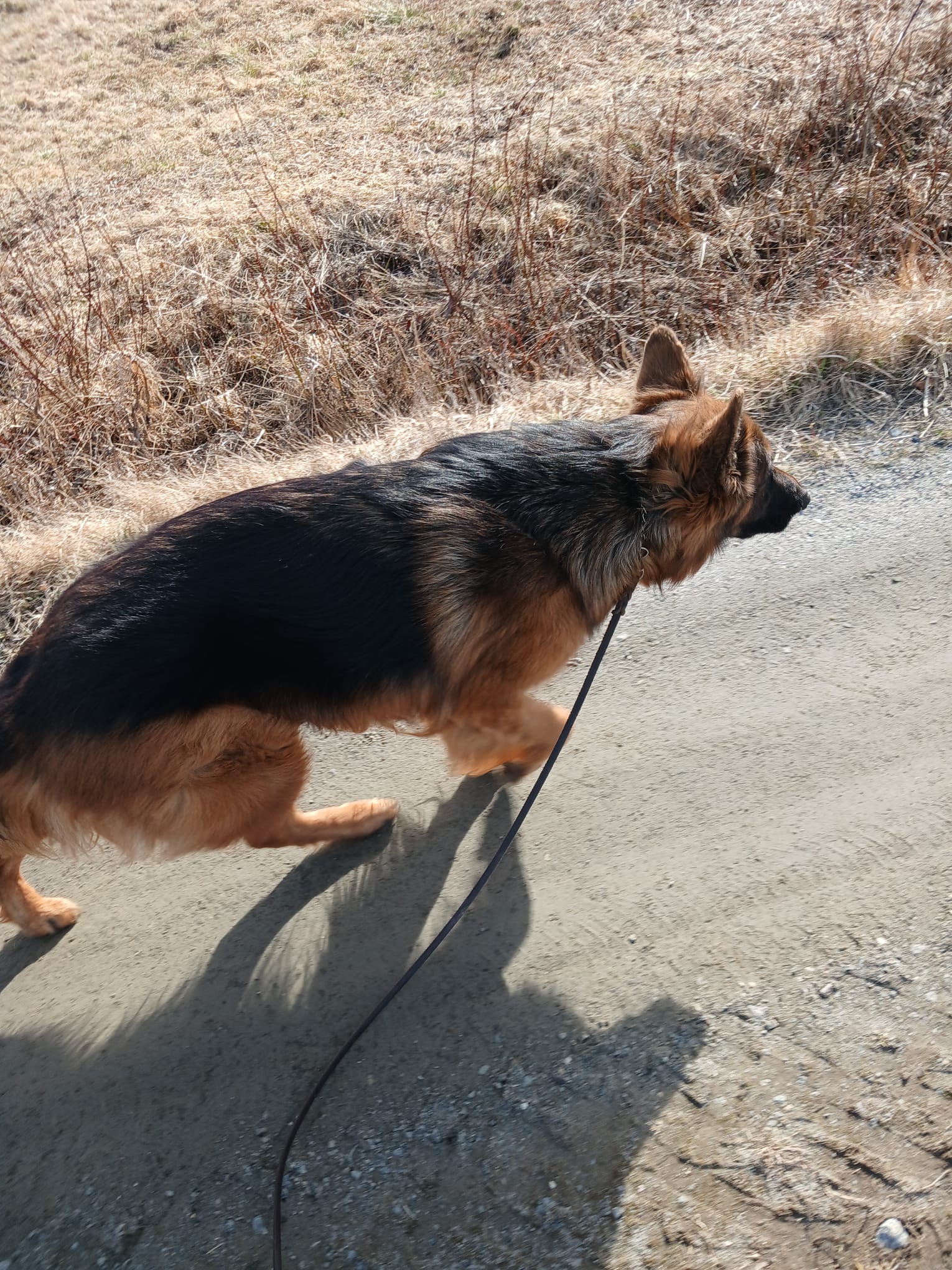 Wandelen met Vinn